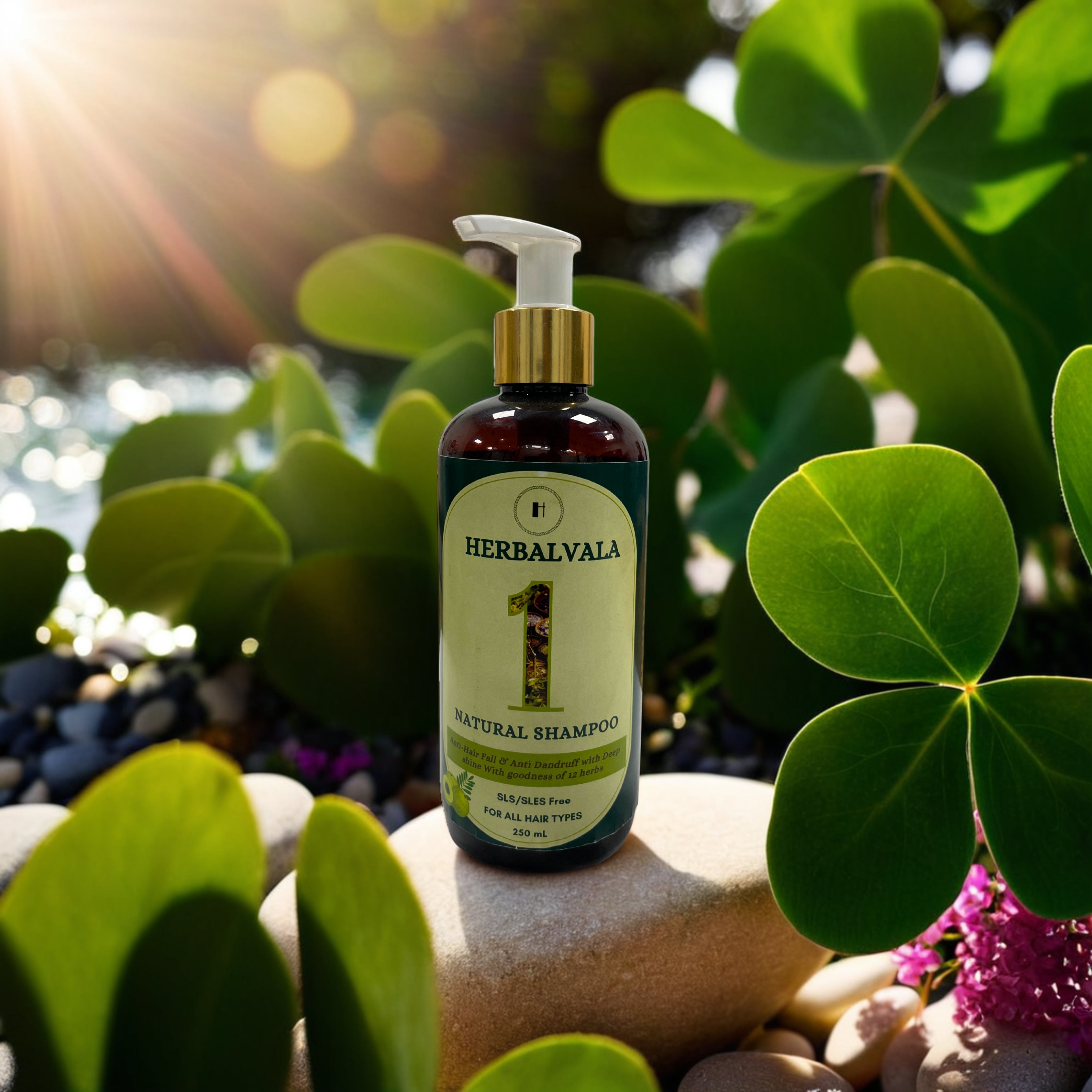 Herbalvala Natural Shampoo || Anti Hairfall & Anti Dandruff Shampoo || Shine with Goodness of 12 Herbs || All Hair Type